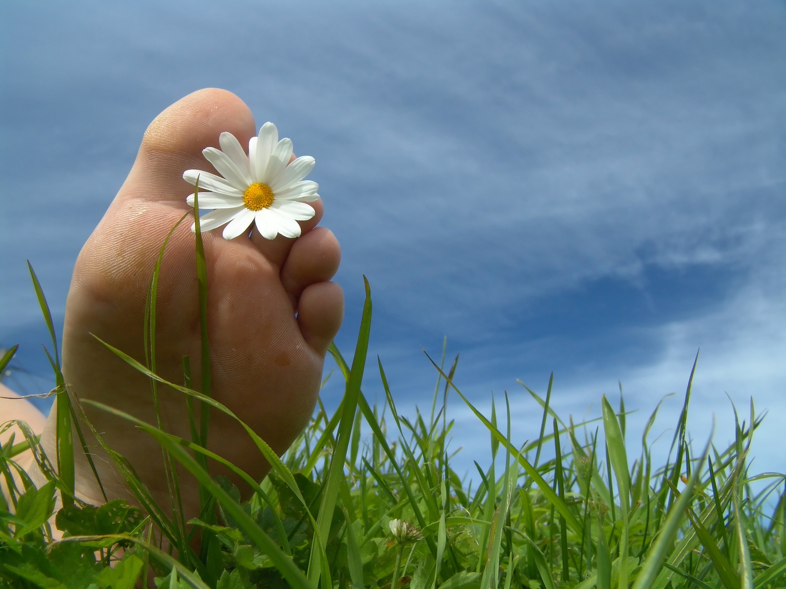 Frühling bei MUP